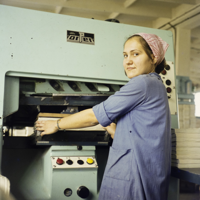 minerva_dn_1972_597_mucart_cluj_008