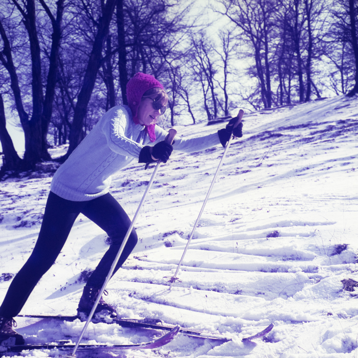 minerva_dn_1973_247_631_baisoara_schi_006