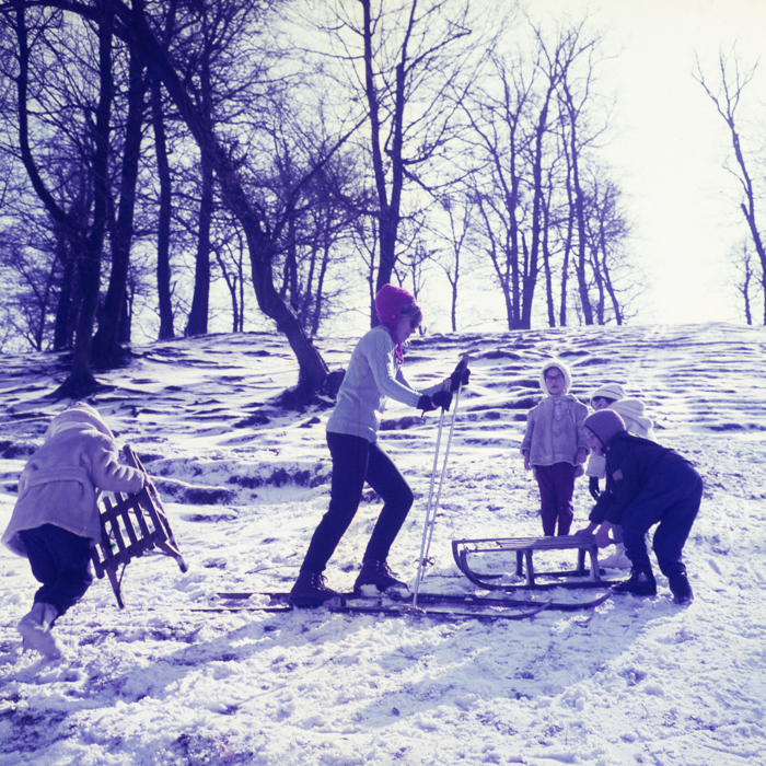 minerva_dn_1973_247_631_baisoara_schi_010