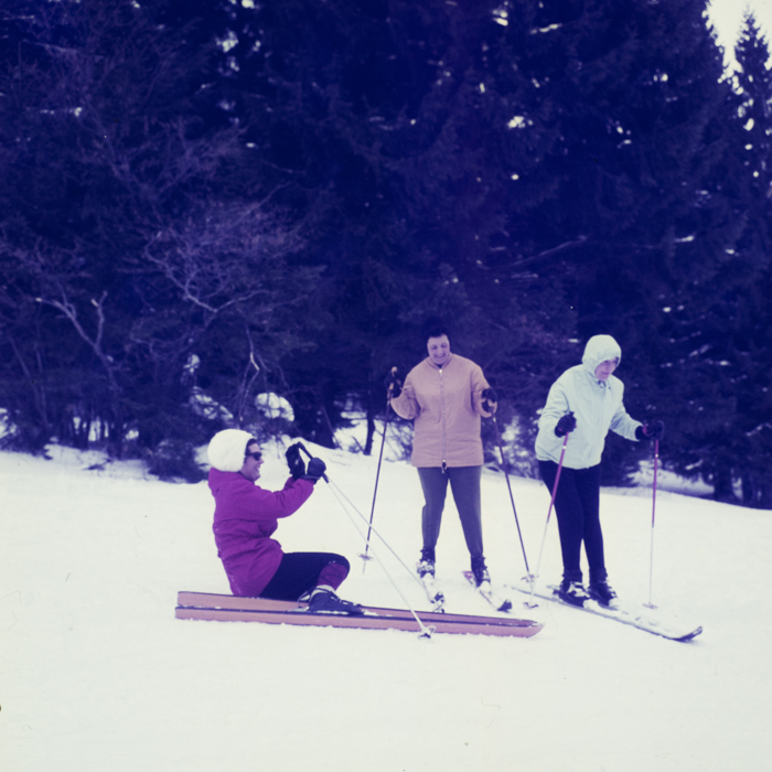 minerva_dn_1973_247_631_baisoara_schi_016