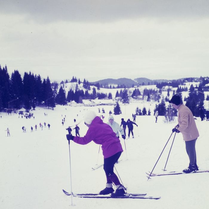 minerva_dn_1973_247_631_baisoara_schi_018