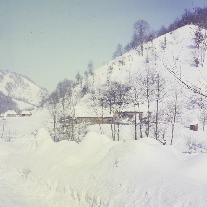 minerva_dn_1973_247_631_baisoara_schi_025