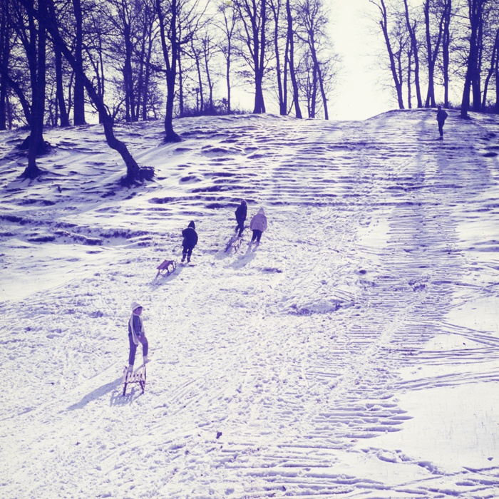 minerva_dn_1973_247_631_baisoara_schi_026