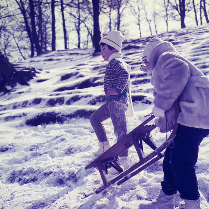 minerva_dn_1973_247_631_baisoara_schi_028