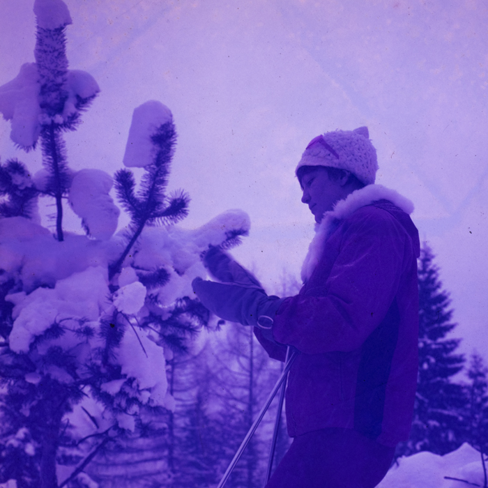 minerva_dn_1973_247_631_baisoara_schi_041