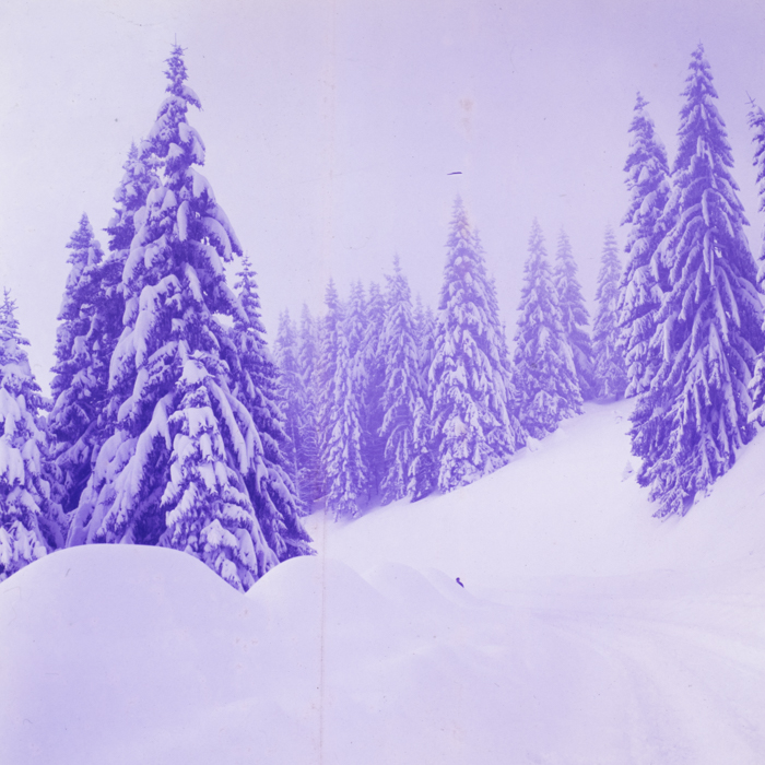 minerva_dn_1973_247_631_baisoara_schi_055