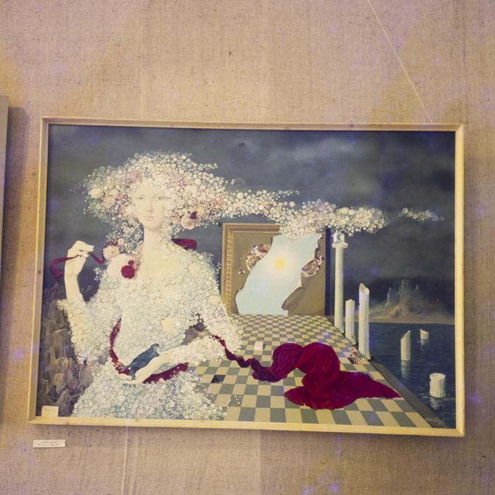 minerva_dn_1973_609_varghiz_jud.covasna_014