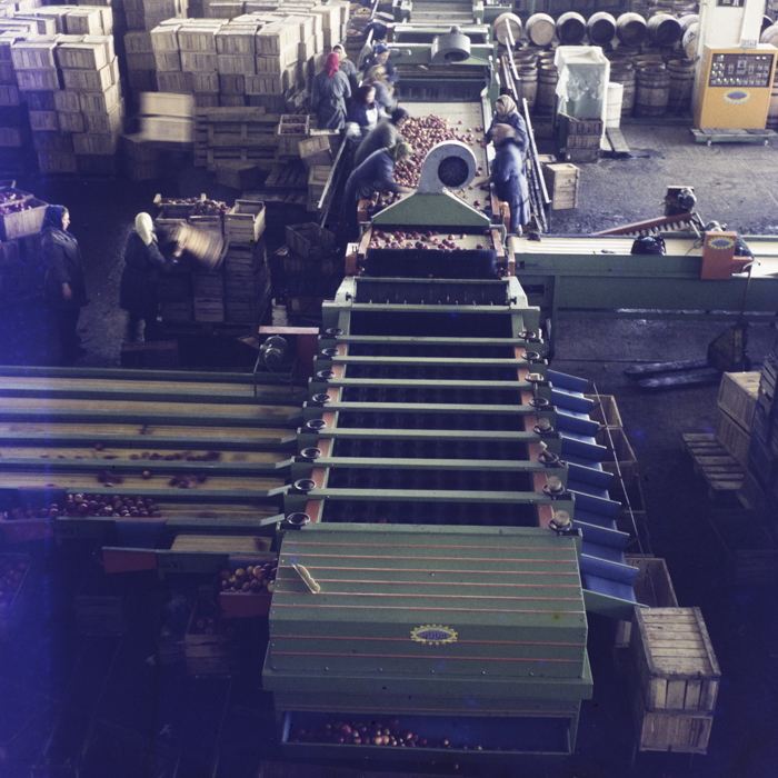 minerva_dn_1973_613_bistrita_i_l_f_004