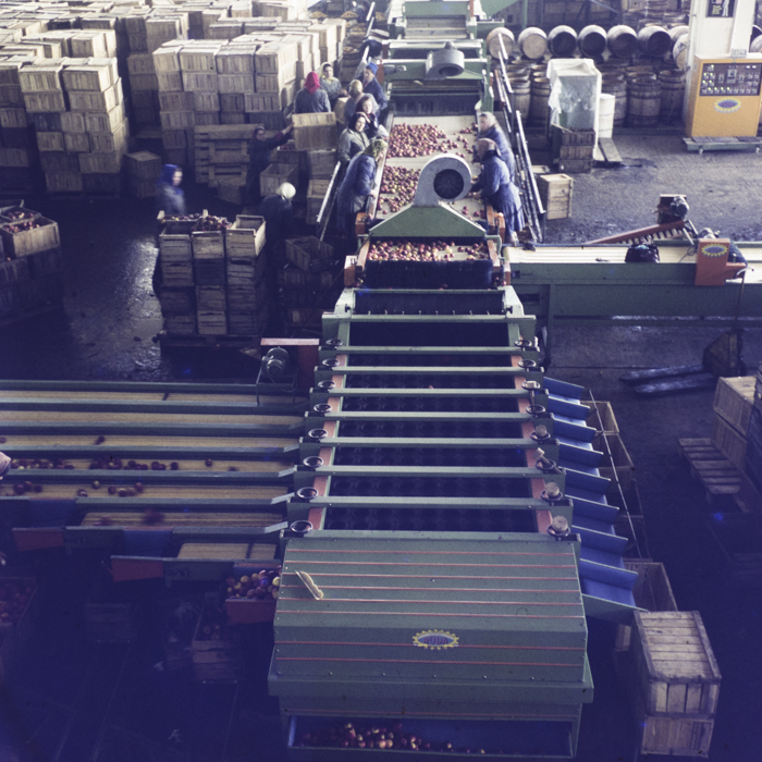 minerva_dn_1973_613_bistrita_i_l_f_005