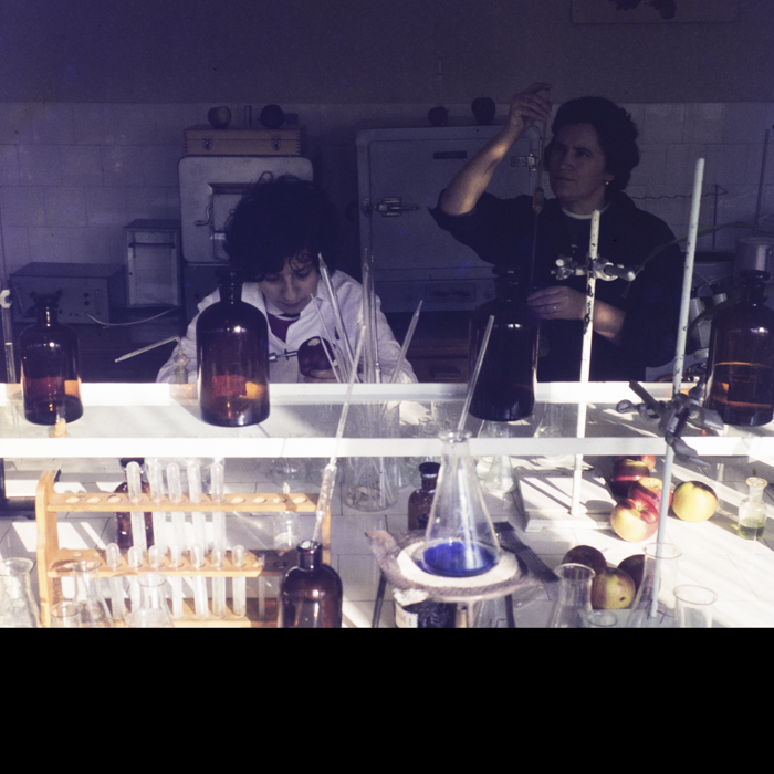 minerva_dn_1973_613_bistrita_i_l_f_007