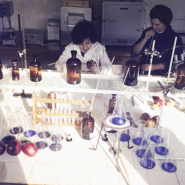 minerva_dn_1973_613_bistrita_i_l_f_008