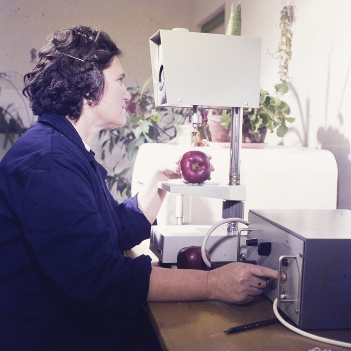 minerva_dn_1973_613_bistrita_i_l_f_010