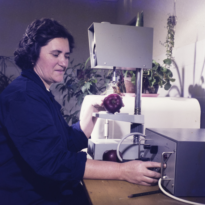 minerva_dn_1973_613_bistrita_i_l_f_011