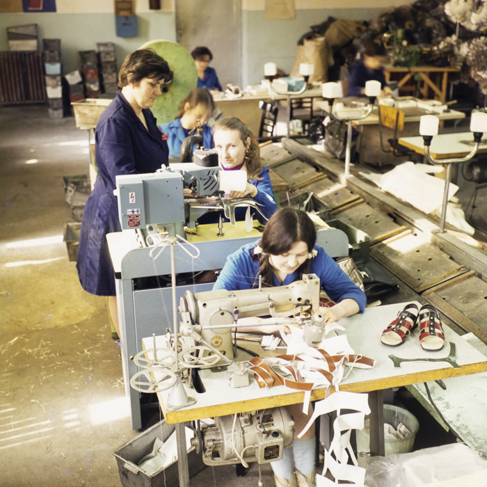 minerva_dn_1973_614_brigada_tinere_clujana_flacara_somesul_cluj_034