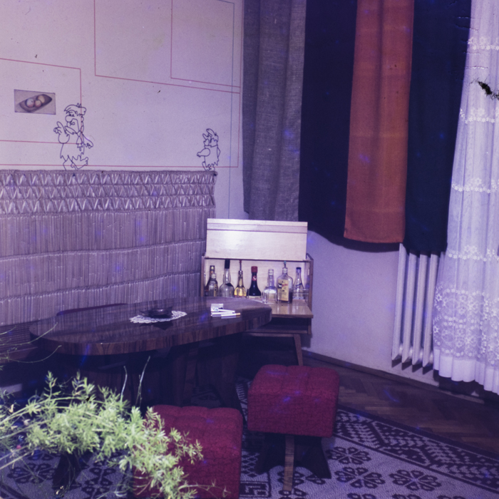 minerva_dn_1973_615_interioare_hathi_001