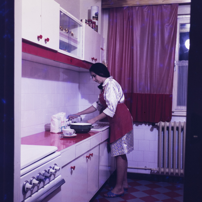 minerva_dn_1973_615_interioare_hathi_005