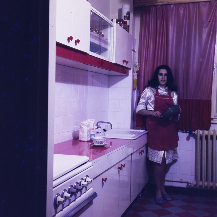 minerva_dn_1973_615_interioare_hathi_006