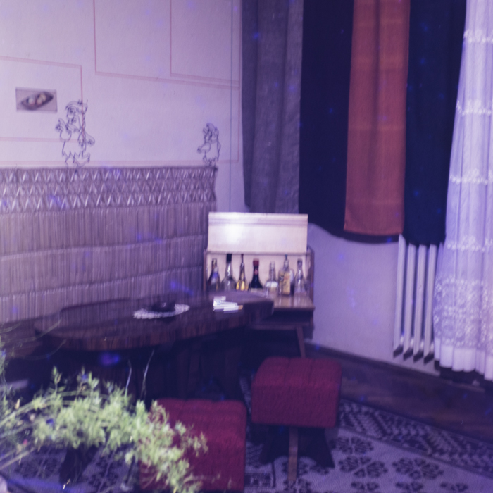 minerva_dn_1973_615_interioare_hathi_009