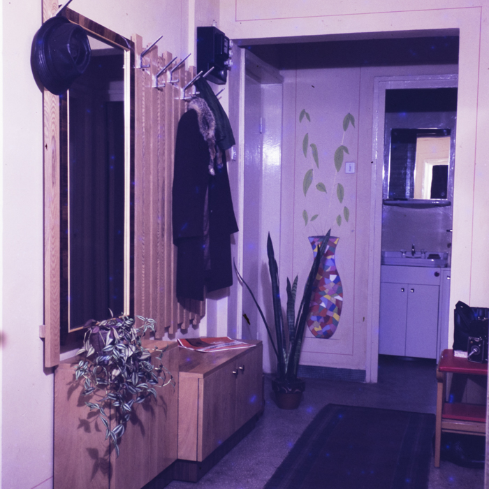 minerva_dn_1973_615_interioare_hathi_010