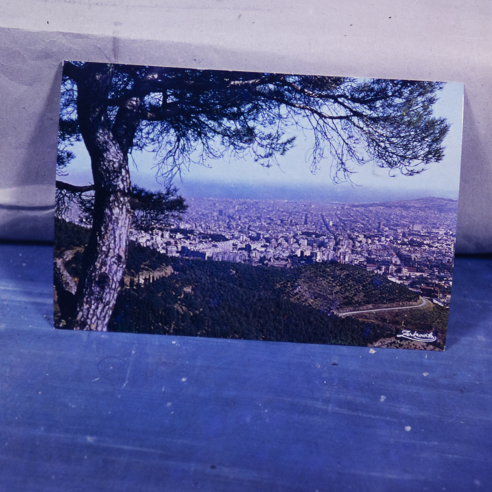 minerva_dn_1973_619_reproduceri_005