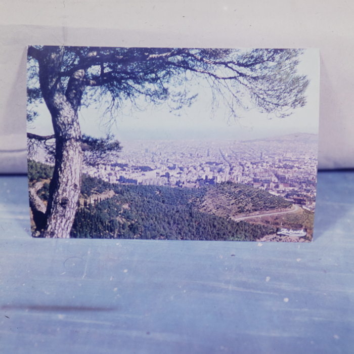 minerva_dn_1973_619_reproduceri_006