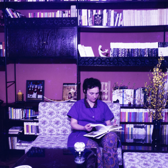 minerva_dn_1973_621_locuinta_001