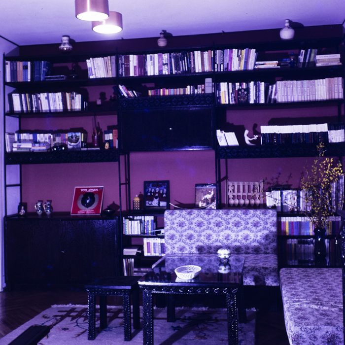 minerva_dn_1973_621_locuinta_003