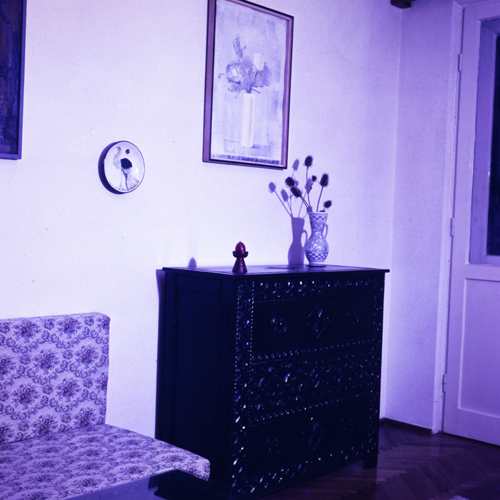 minerva_dn_1973_621_locuinta_005