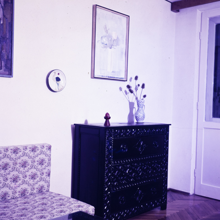 minerva_dn_1973_621_locuinta_008