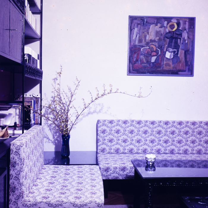 minerva_dn_1973_621_locuinta_009