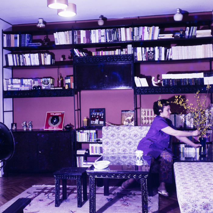 minerva_dn_1973_621_locuinta_012