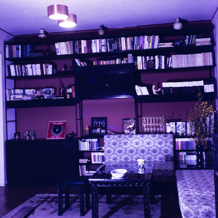 minerva_dn_1973_621_locuinta_014