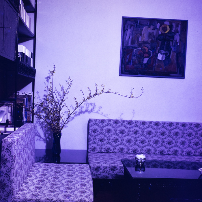 minerva_dn_1973_621_locuinta_017