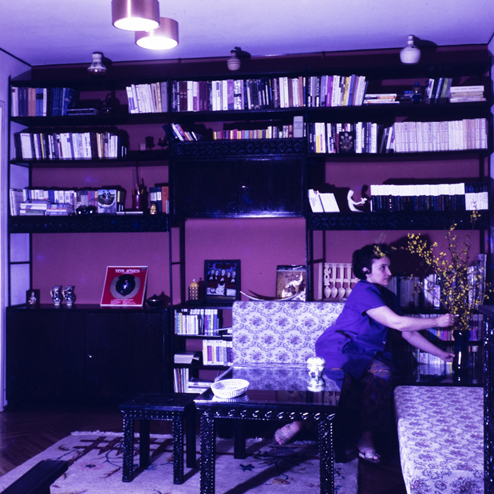 minerva_dn_1973_621_locuinta_019