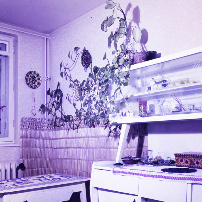 minerva_dn_1973_621_locuinta_020