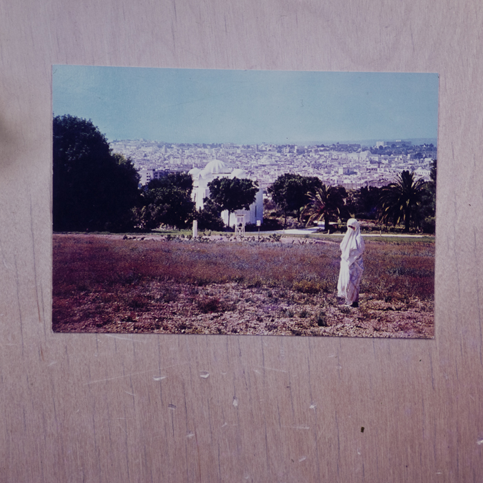 minerva_dn_1973_625_reproduceri_externe_tunisia_002