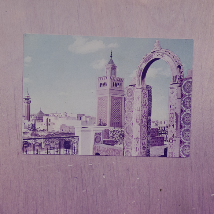 minerva_dn_1973_625_reproduceri_externe_tunisia_003