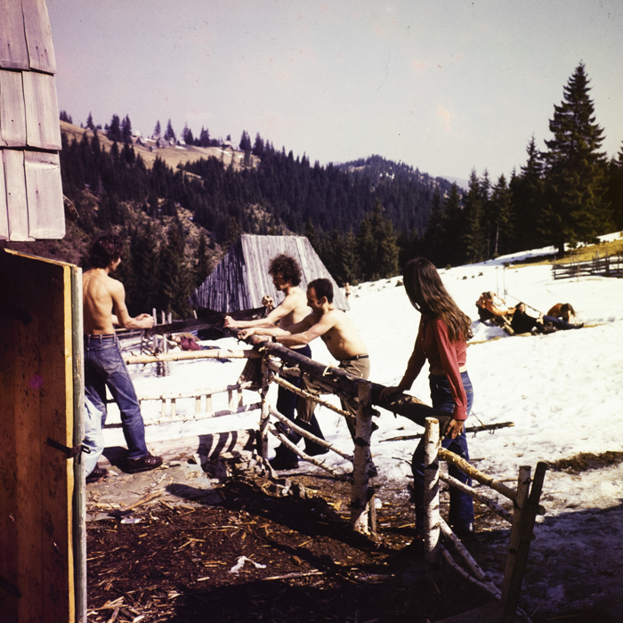 minerva_dn_1973_631_aspecte_baisoara_eva_varga_013