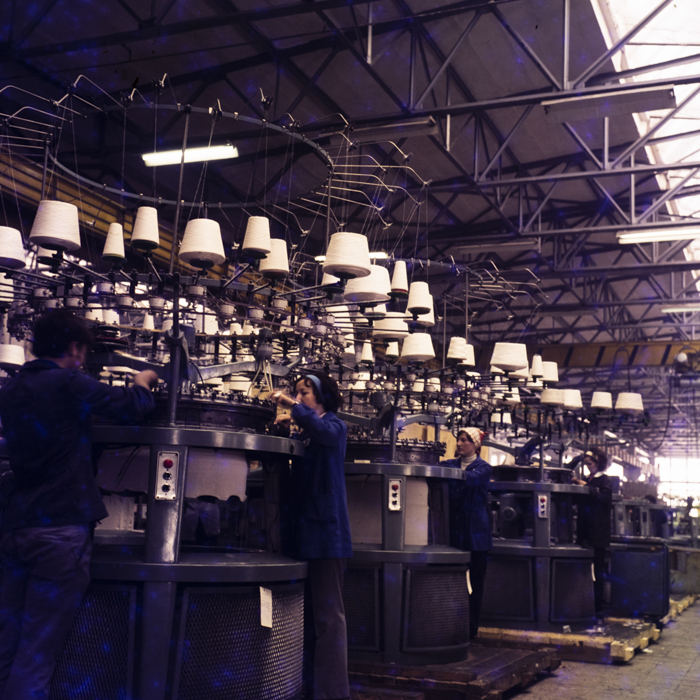 minerva_dn_1973_631_aspecte_baisoara_eva_varga_022