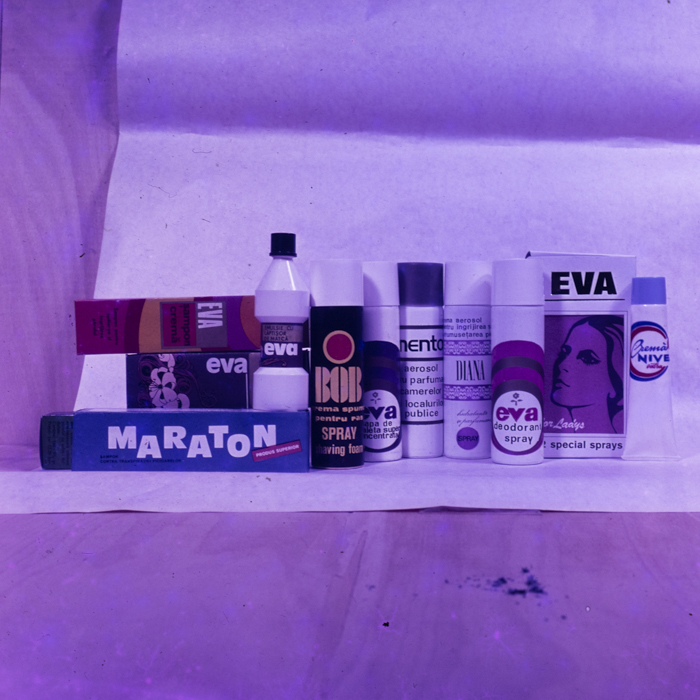 minerva_dn_1973_631_aspecte_baisoara_eva_varga_035