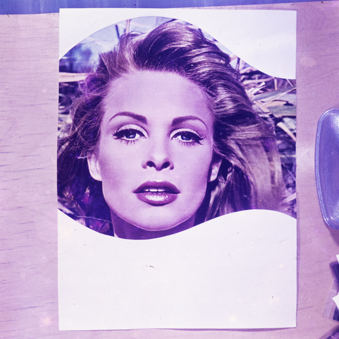 minerva_dn_1973_631_aspecte_baisoara_eva_varga_036