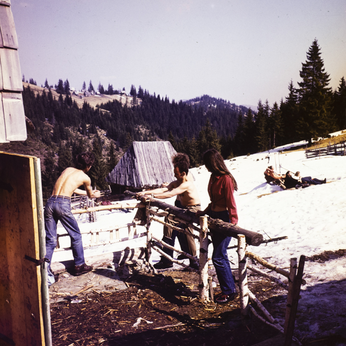 minerva_dn_1973_631_aspecte_baisoara_eva_varga_054