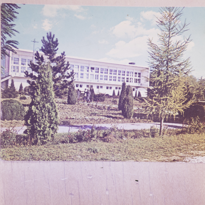 minerva_dn_1973_632_reproduceri_vederi_tutankhamon_012