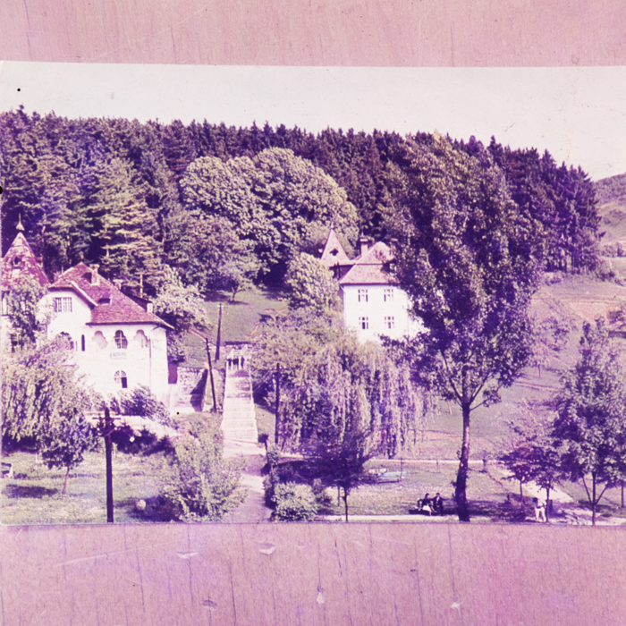 minerva_dn_1973_632_reproduceri_vederi_tutankhamon_019