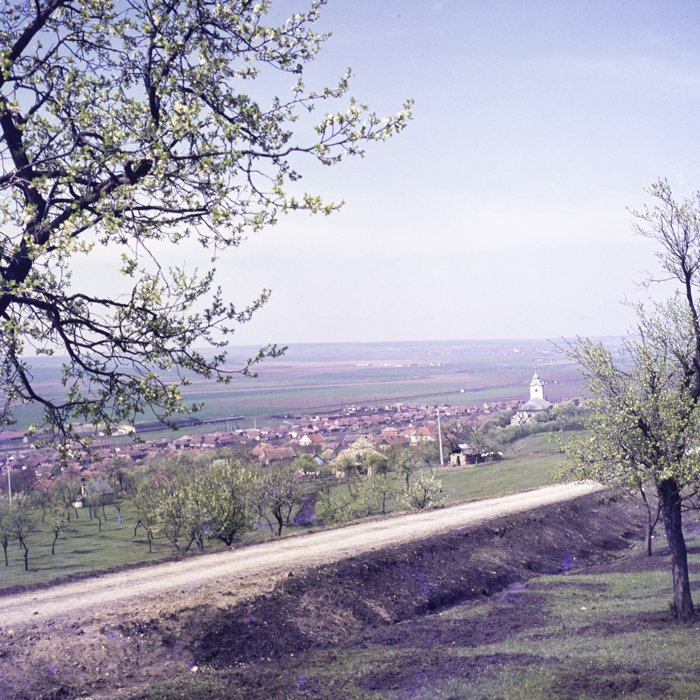 minerva_dn_1973_633_tineri_sarmasag_judetul_zalau_001