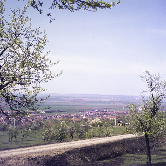 minerva_dn_1973_633_tineri_sarmasag_judetul_zalau_002