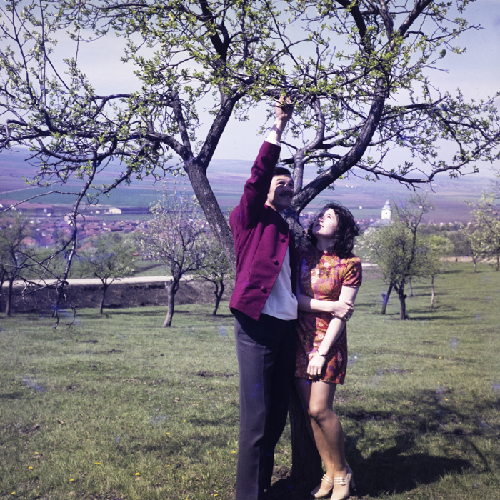 minerva_dn_1973_633_tineri_sarmasag_judetul_zalau_005