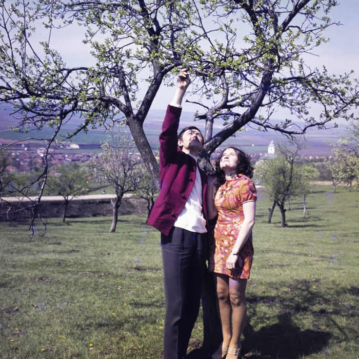 minerva_dn_1973_633_tineri_sarmasag_judetul_zalau_009