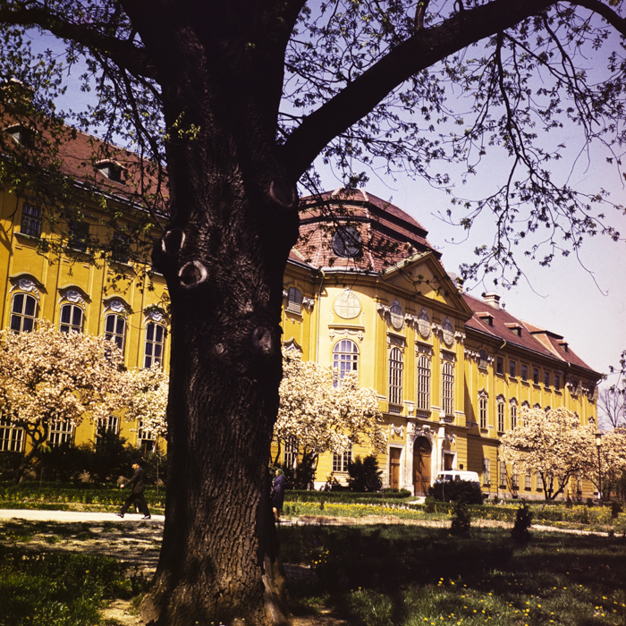 minerva_dn_1973_637_vederi_oradea_muzeu_013