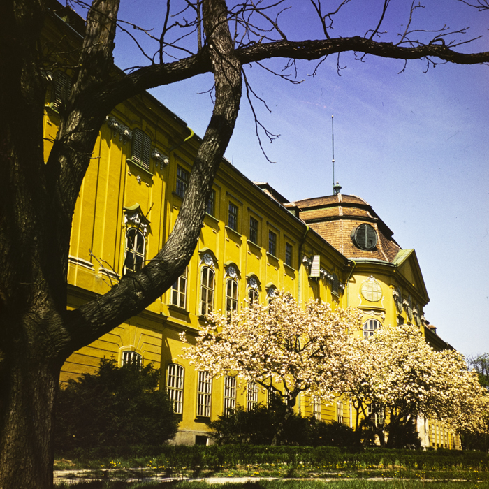 minerva_dn_1973_637_vederi_oradea_muzeu_014